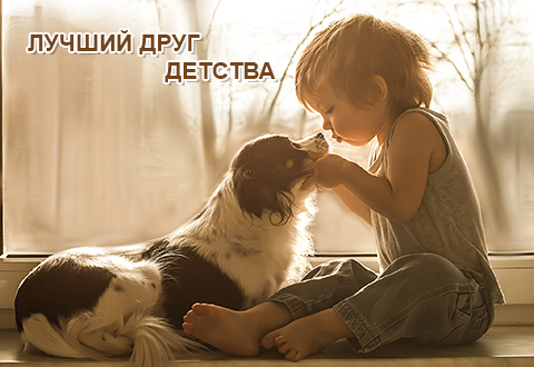 Лучший друг детства
